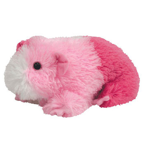 Pinky The Guinea Pig