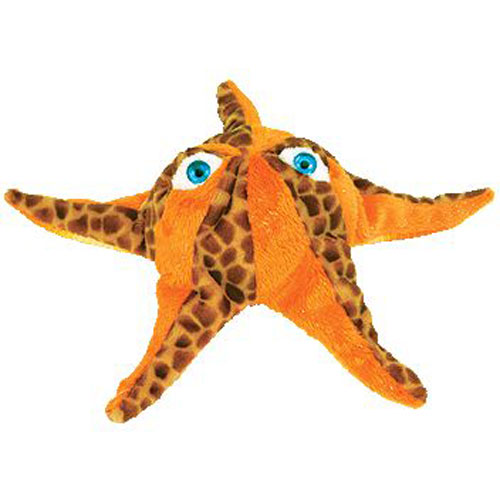 Wish The Starfish