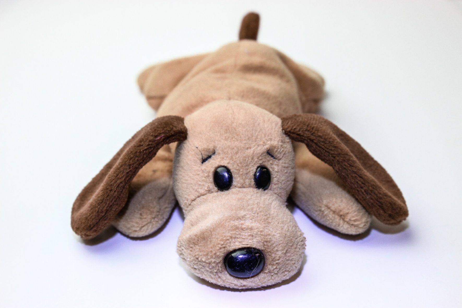 Why MyBeanieBabies.com is the Best Place to Buy Ty Beanie Babies